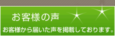 ���q�l�̐�