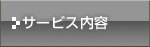 �T�[�r�X���e