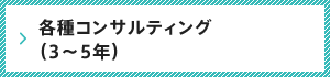 各種コンサルティング（3〜5年）