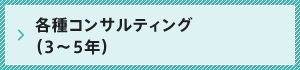 各種コンサルティング（3〜5年）