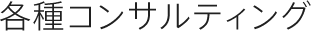 各種コンサルティング